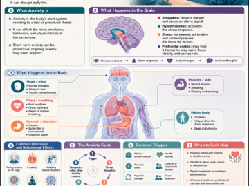 Anxiety: What Happens Inside the Mind and Body