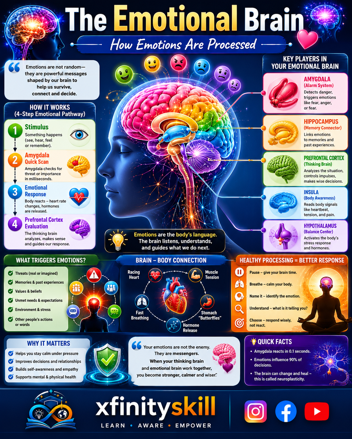 The Emotional Brain: How Emotions Are Processed