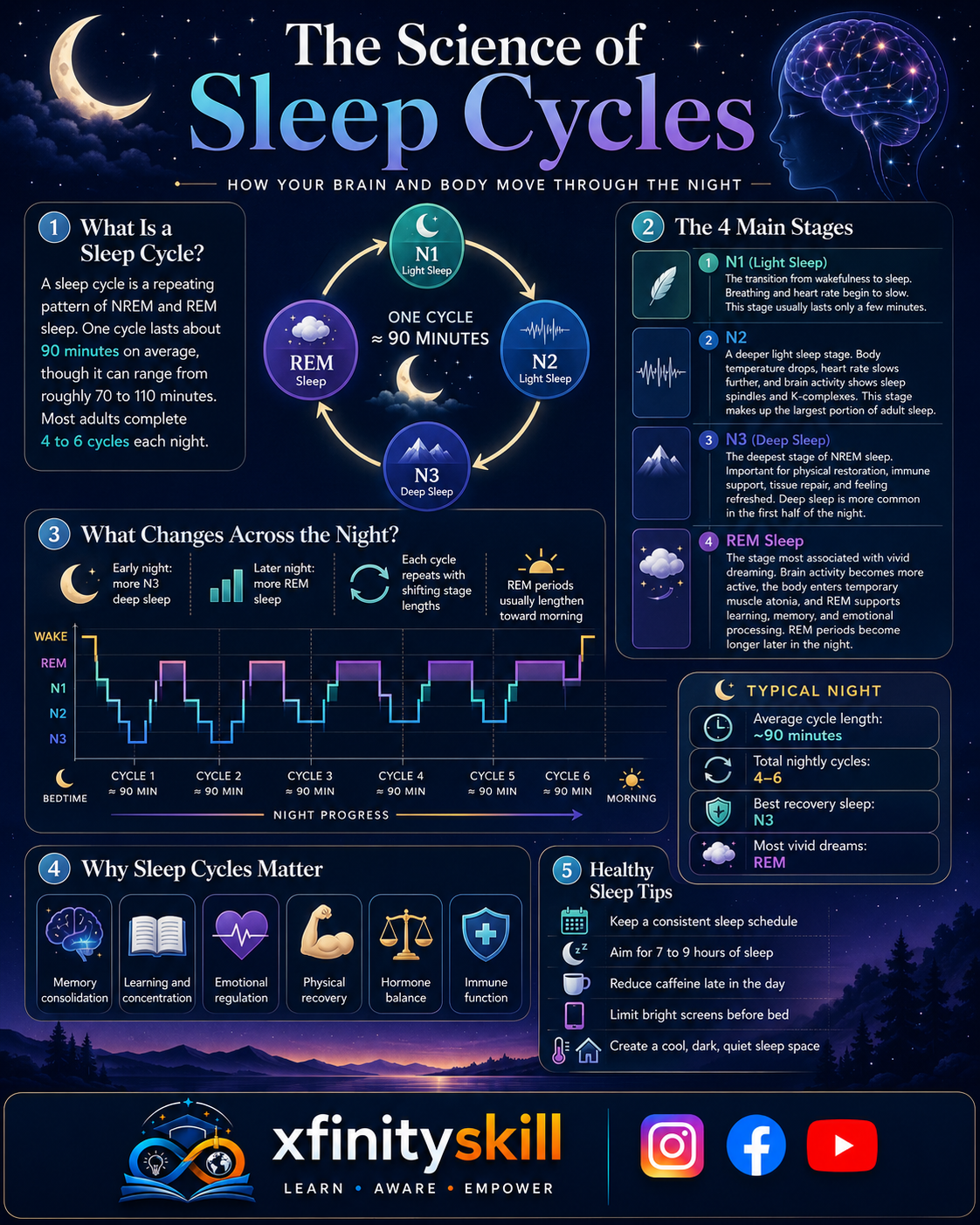 The Science of Sleep Cycles